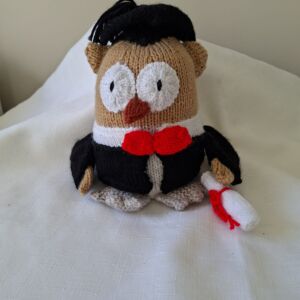 Florabunda Gifts - Knitted Graduation Owl